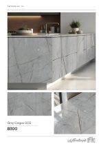 Grey Caspio 005 - تصویر 2